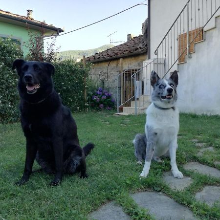B & B Via Di Mezzo Coreglia Antelminelli Kültér fotó