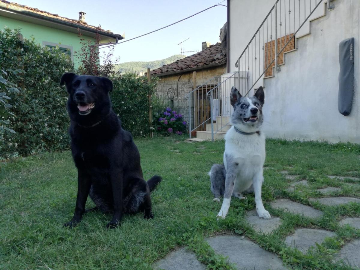 B & B Via Di Mezzo Coreglia Antelminelli Kültér fotó